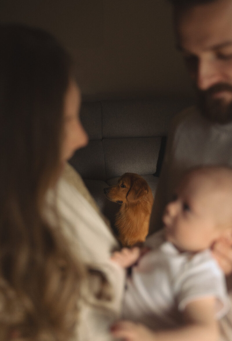 Family newborn photography Pittsburgh newborn photographer Pennsylvania newborn family session documentary baby family portraits.