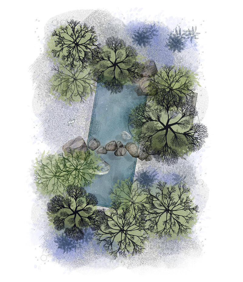 01 Taller de Plano Ilustrado Imagen