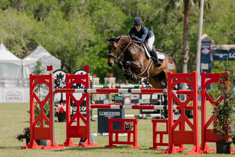 Unbridled MediaEQ_DSC5813