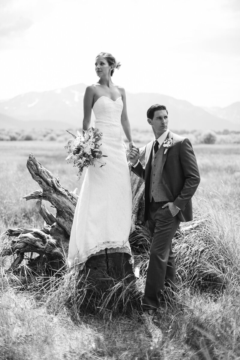Bride and groom stop in meadow in South Lake Tahoe for wedding photograph