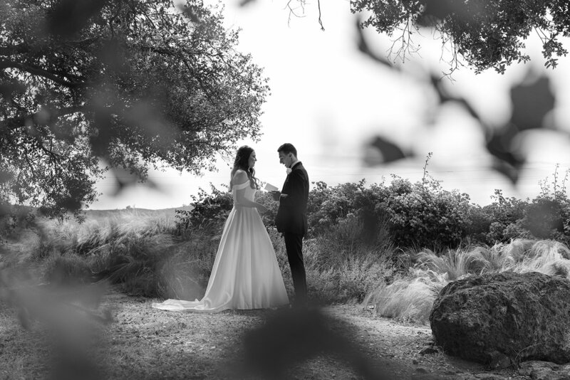 Brookeboroughphotography_AndrewandSamantha-12052-2