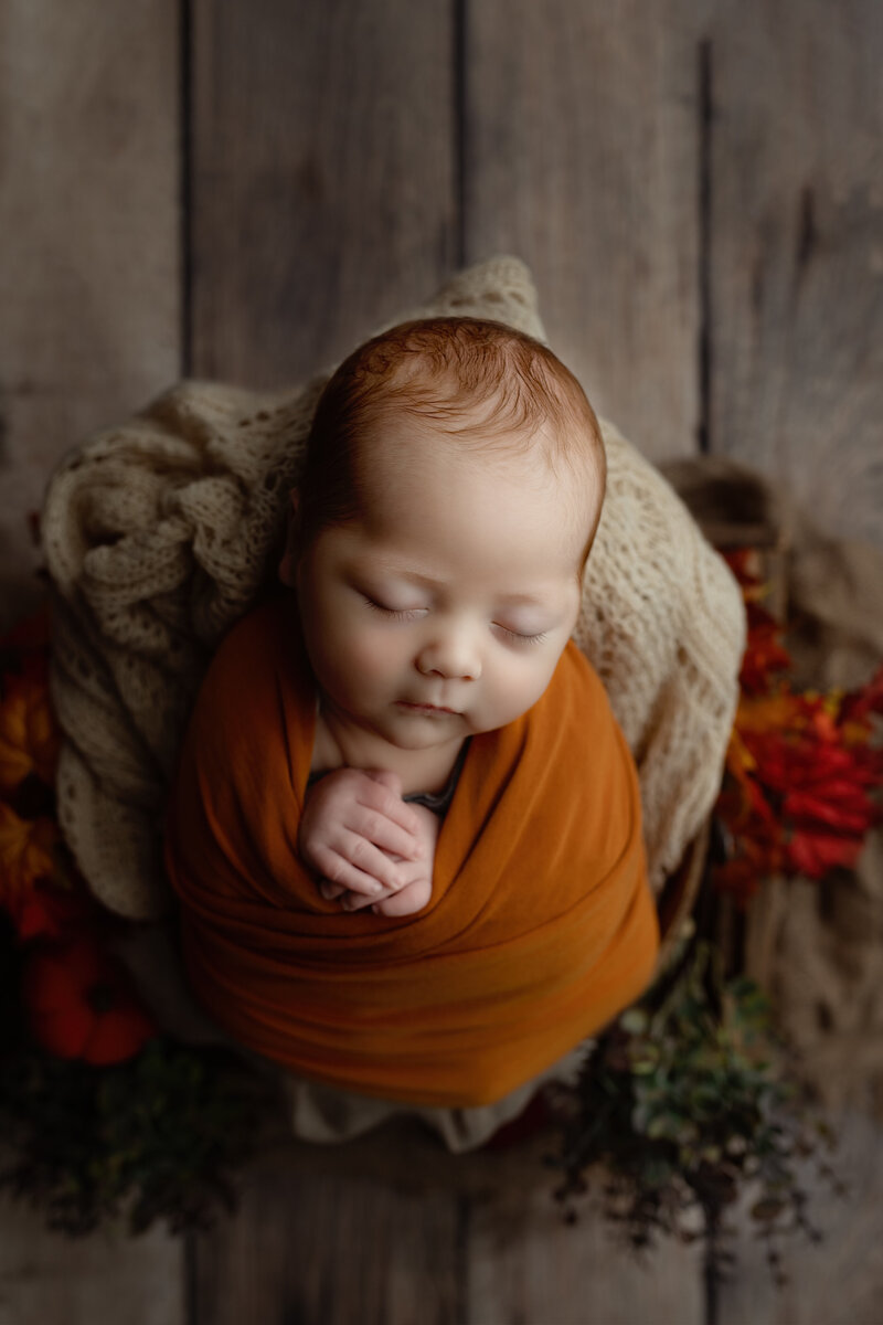 homepage-investment-newborn-autumn-wrap-rustic-wood-floor-paris-ontario