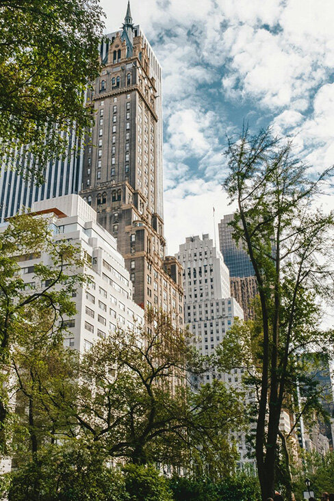 A serene park with green grass and trees, framed by tall buildings in the background