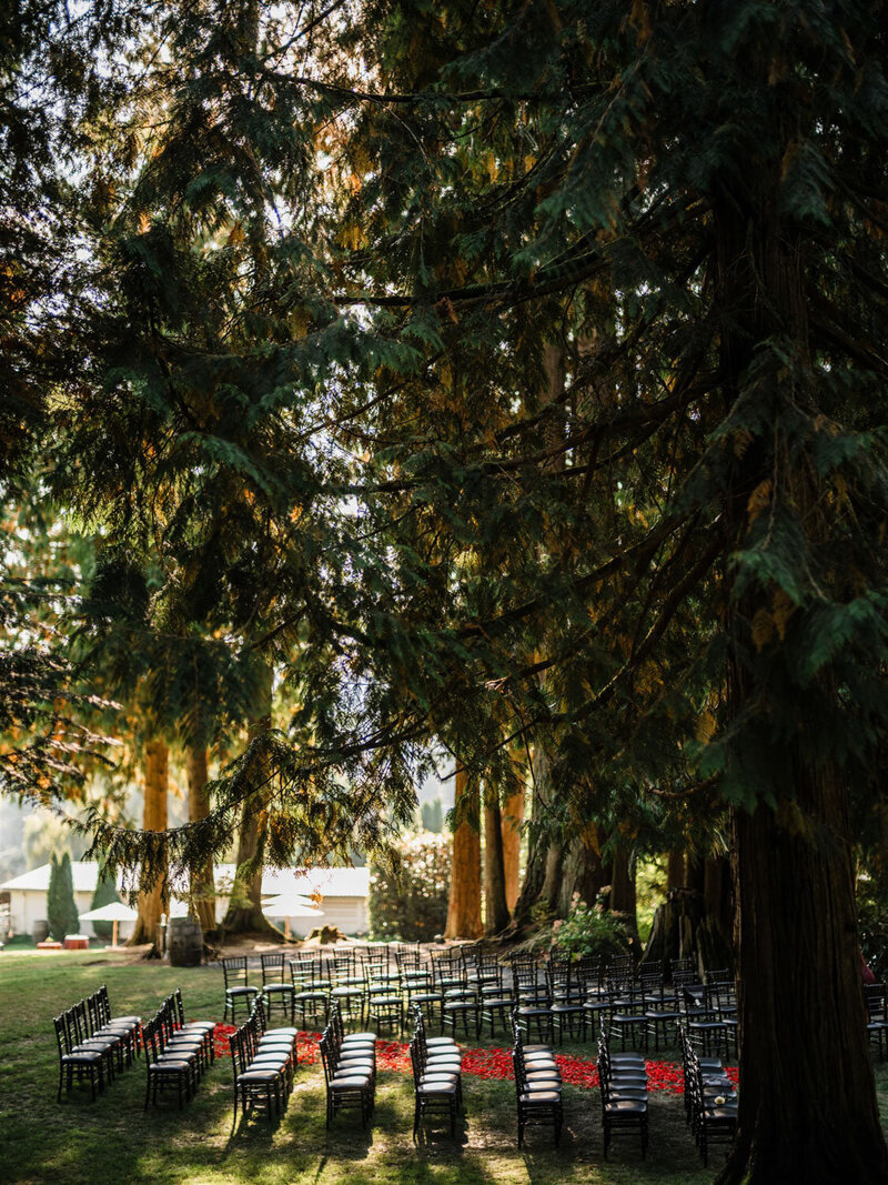 Wooden chairs arranged for an outdoor ceremony