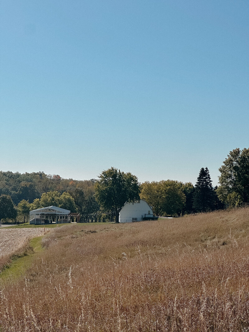 alilockeryphotography-3095