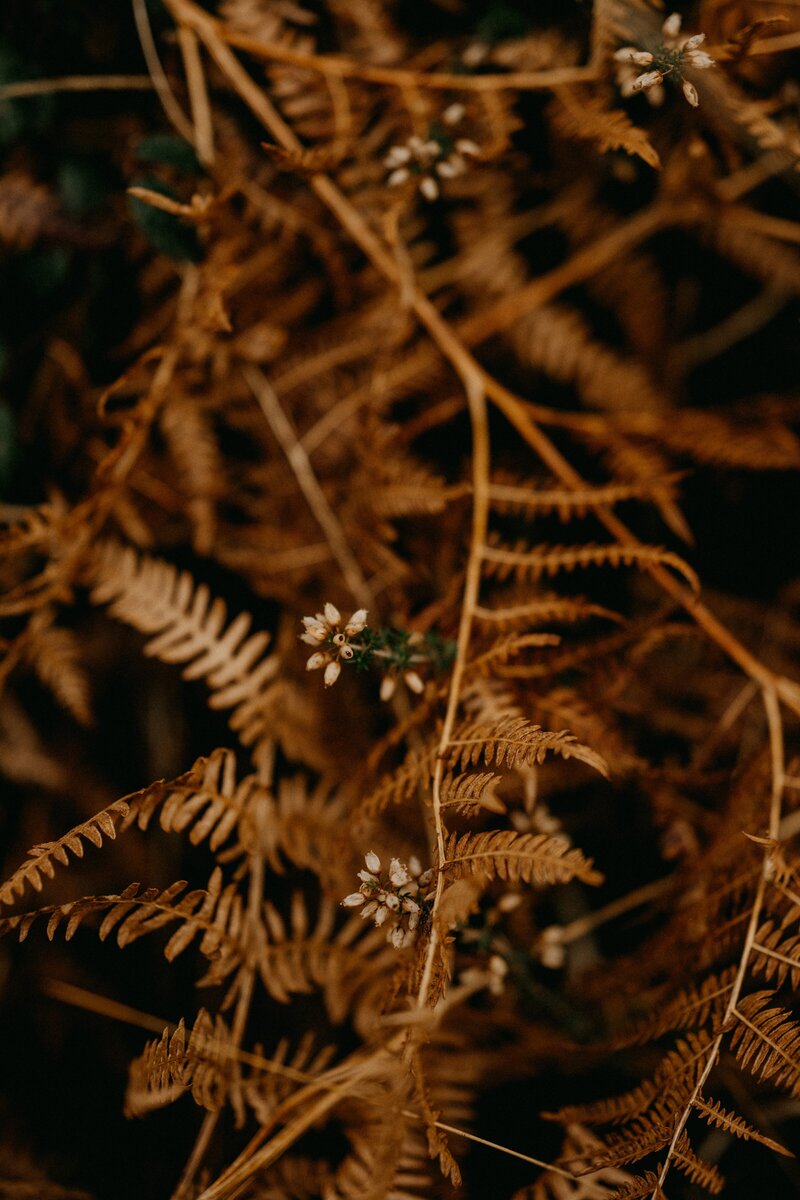annie-spratt-4Btio2xjqWo-unsplash