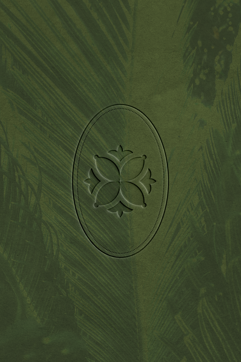 semi custom pre made brand kit modern, organic, elegant, whimsical (4)