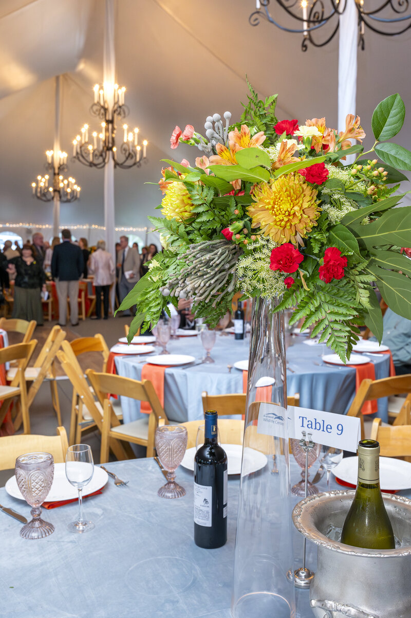 BRWC, Annual Gala-214