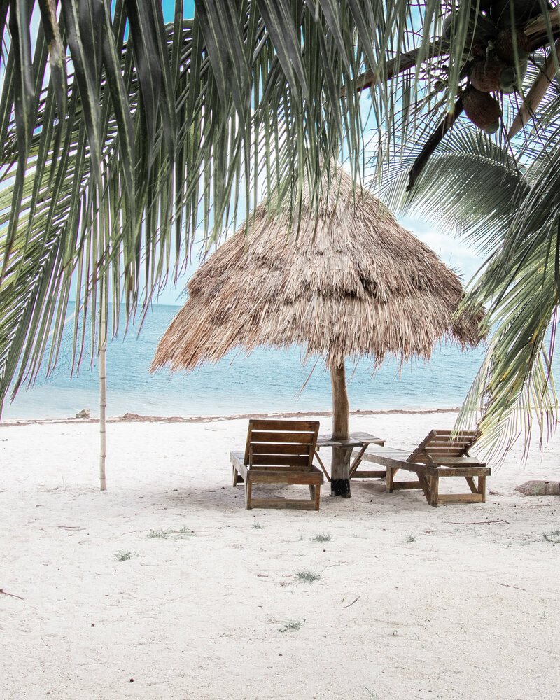 Tropical beach with chairs and umbrella