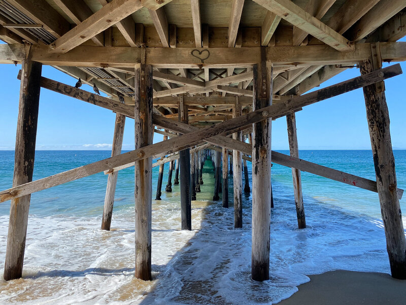 Newport Beach Landscape featured in Travel magazine the Loaded Trunk