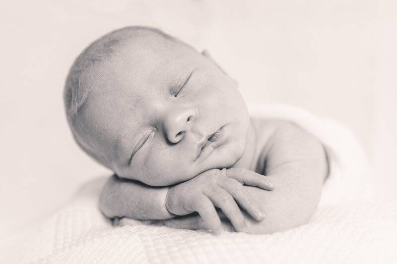 newborn photo from a newborn photoshoot with Blair Davis Photograph