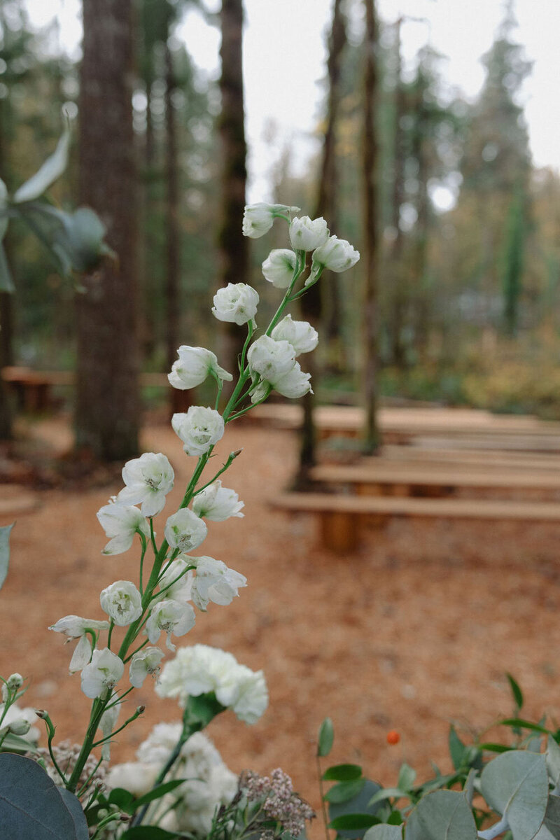 White flowers in the foreground of a wooded outdoor ceremony space