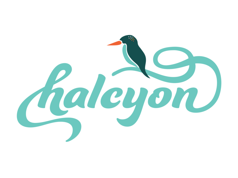 Halcyon Online Therapy Primary Logo, with a halcyon kingfisher bird perched about the word "Halcyon"