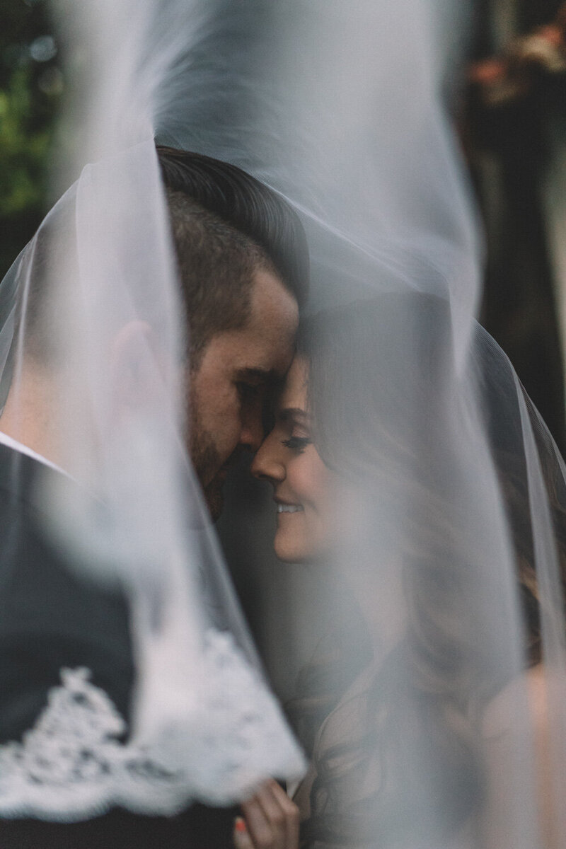 couple kissing under a wedding veil