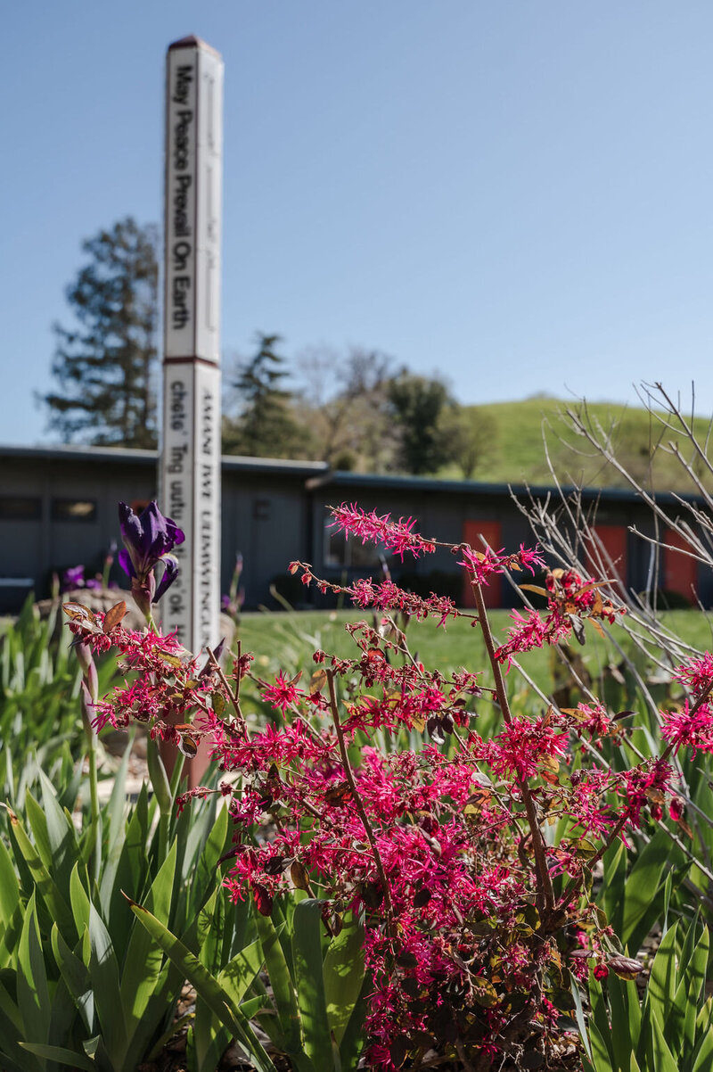 AthenianMarchTerm-2976