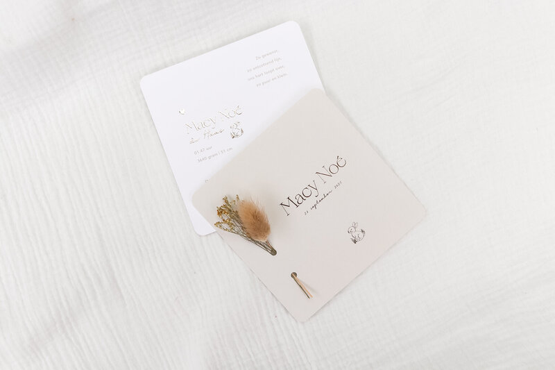 Beige-geboortekaartje-met-goudfolie-en-droogbloemen-macynoe-14