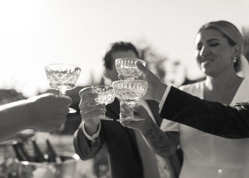 bride and groom toasting with friends