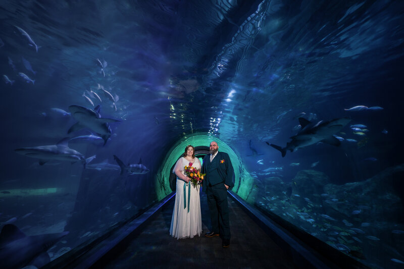 Elegant wedding photo of a couple in the glowing aquarium tunnel at Adventure Aquarium.