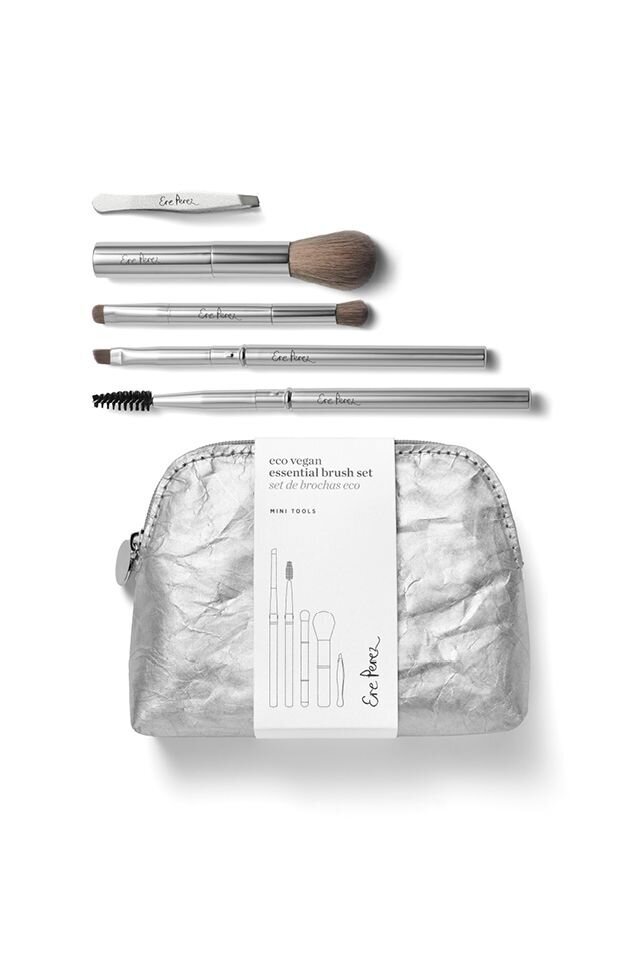 brush and tool set with travel bag