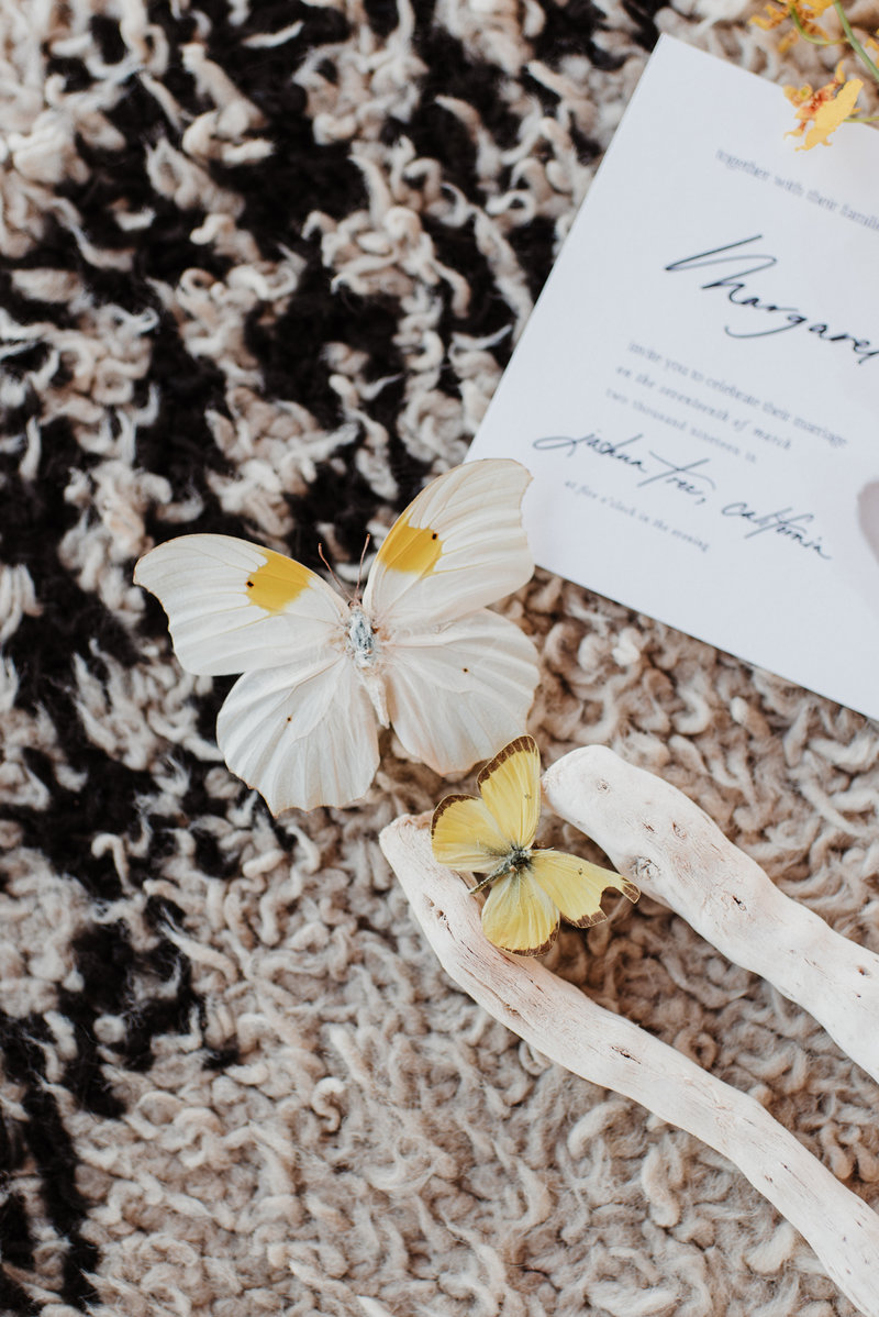 joshuatreeeditorial-8