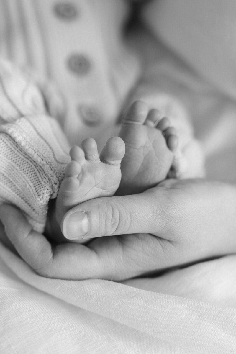 Ford Family - Sweet Valencia Photography-29