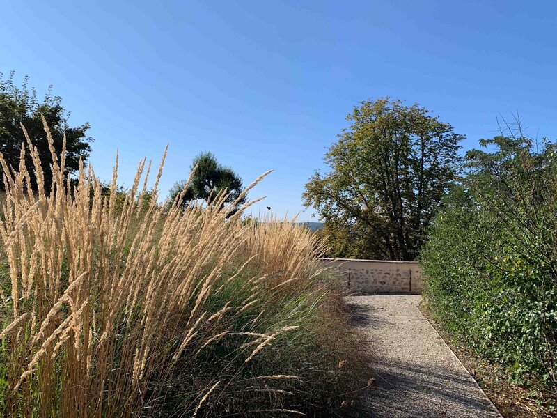 Esquisse d'un jardin arboré donnant sur une maison