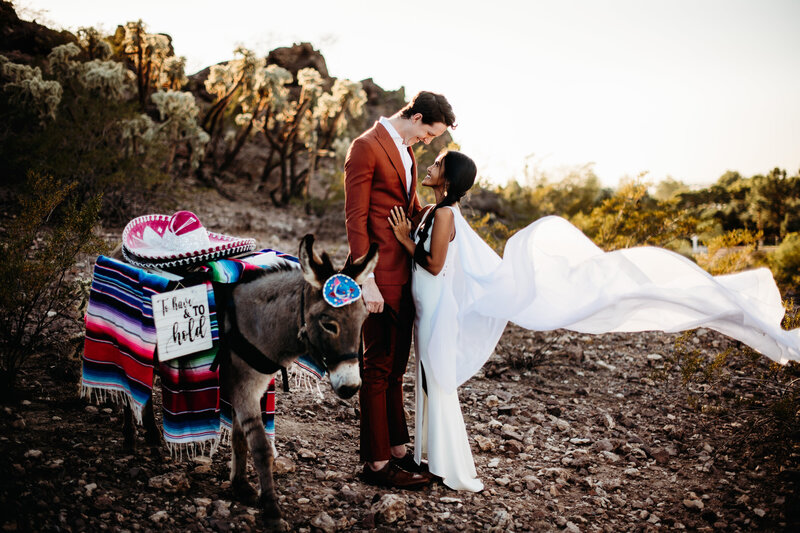 Bride and groom with a donkey for their desert elopement