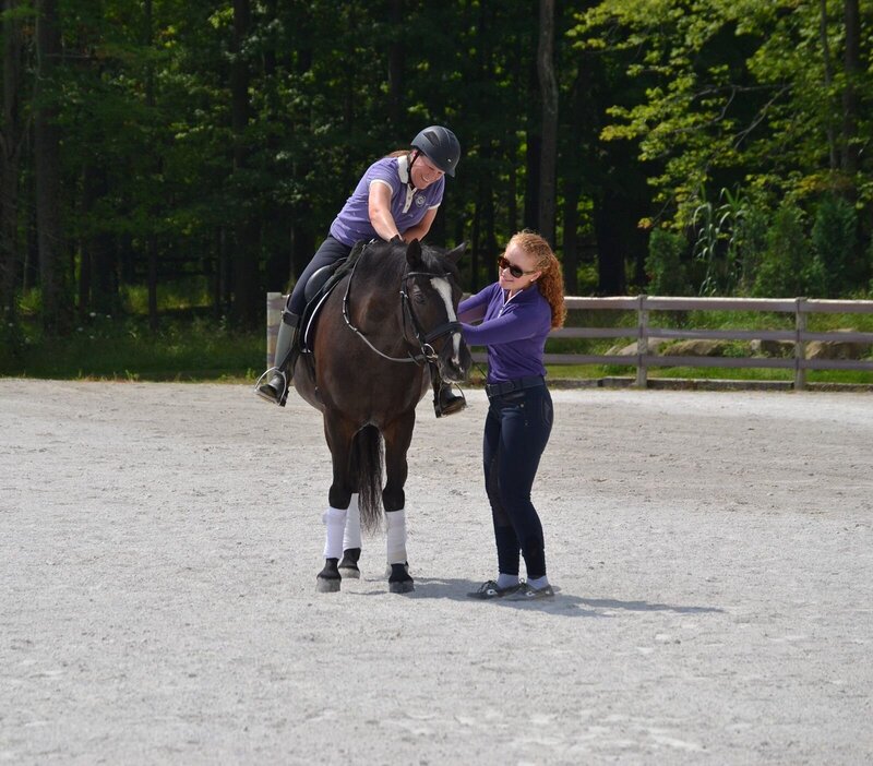Dressage lessons in Pennsylvania