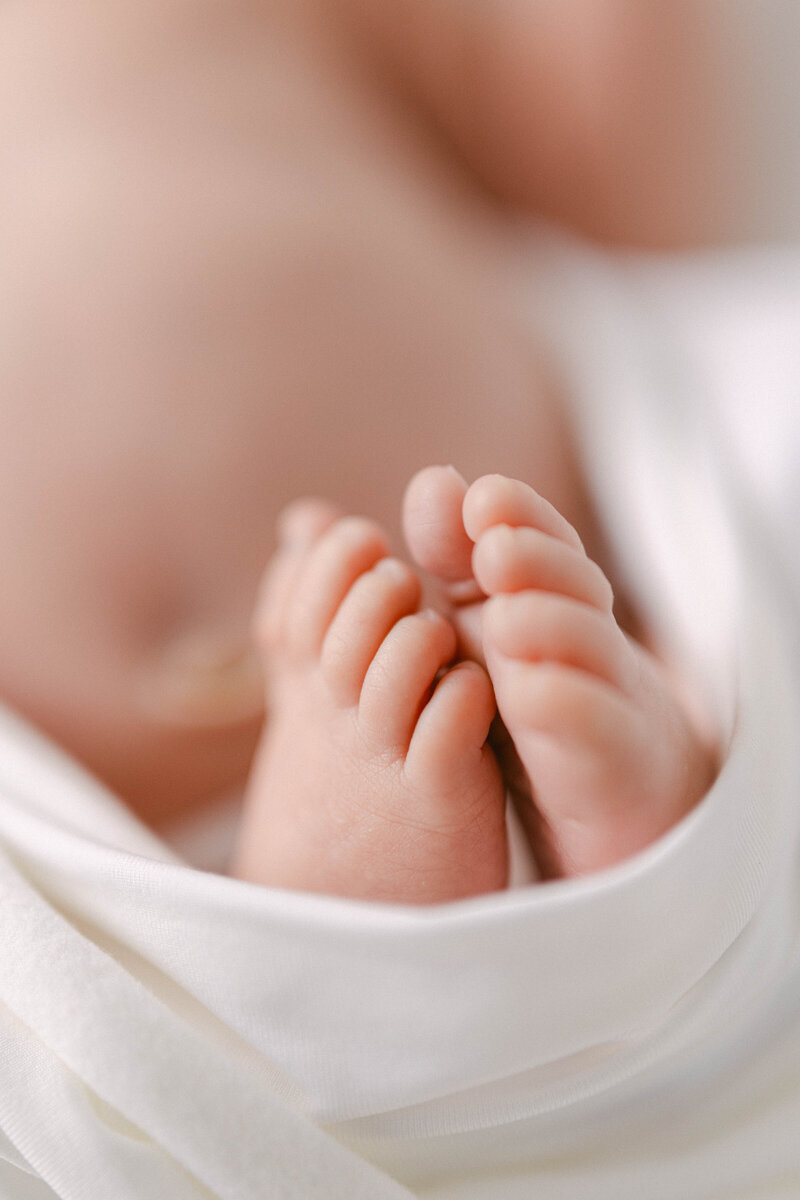 close up of baby toes knoxville tennessee newborn photographer knoxville newborn photographer
