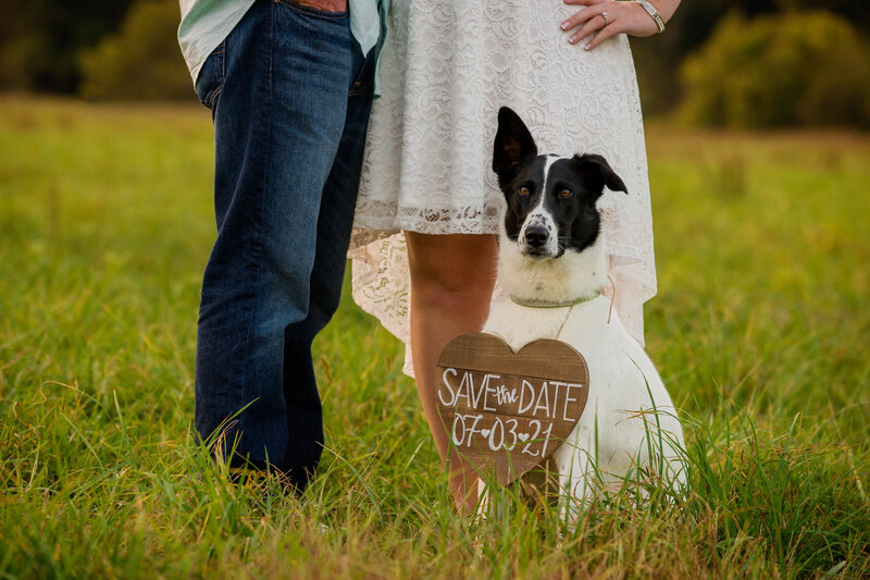 A sweet moment during a summer engagement session featuring a dog sitting at the feet of an engaged couple, proudly wearing a sign about their upcoming wedding, creating a heartwarming and playful detail for the photoshoot.