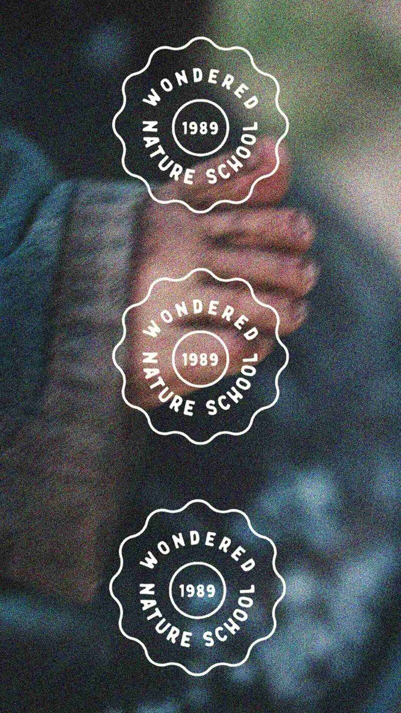 Vintage logo of Wondered Nature School, featuring classic design elements and a charming, nostalgic aesthetic.