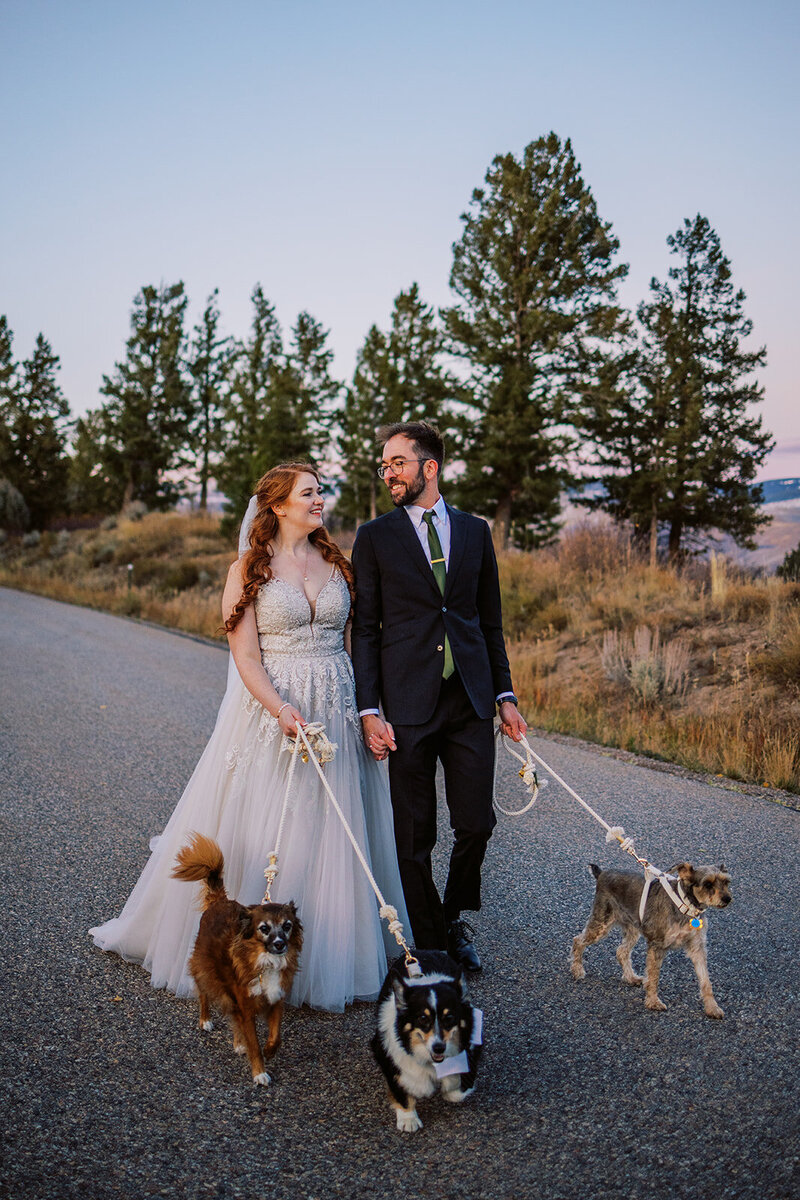 Bride and groom walk their dogs in wedding attire