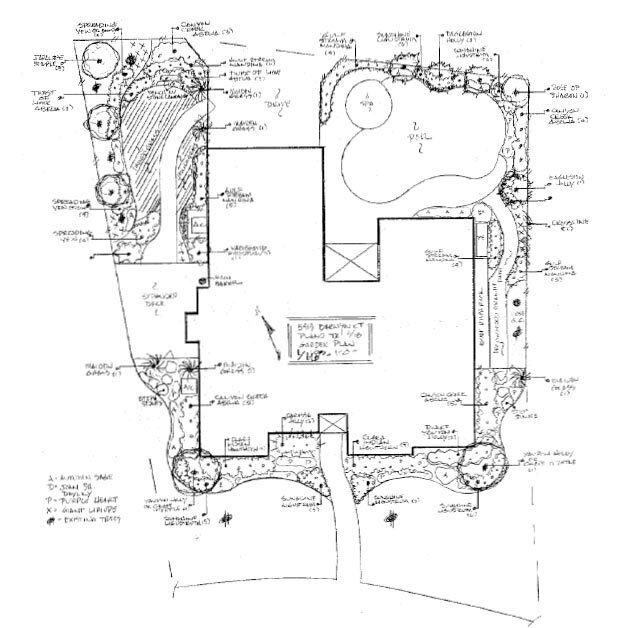 Landscaping Design & Installation