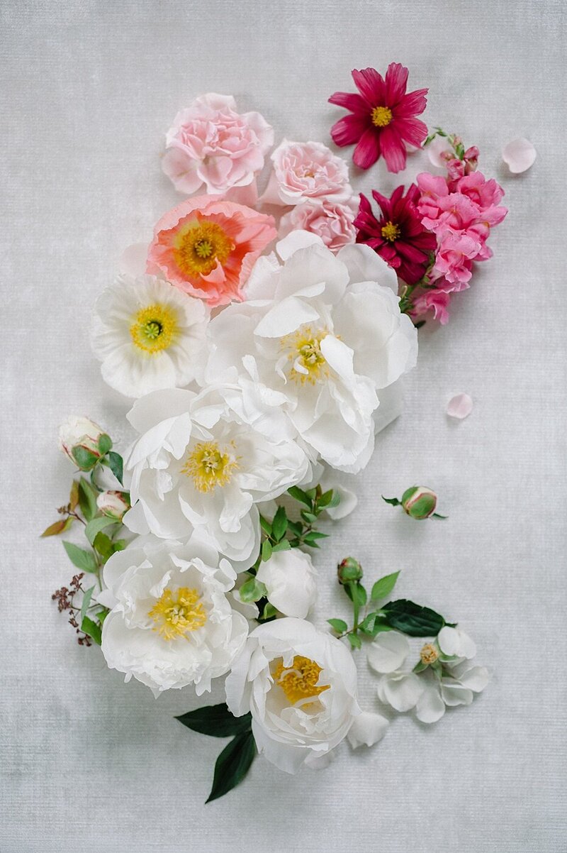 Sera Petras Photography_Anna+Josh_w-1205