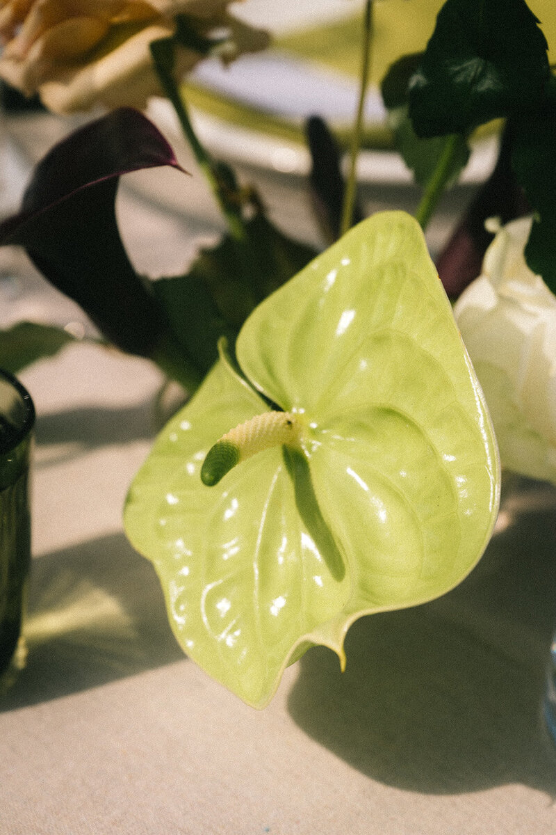 98valmis-357_websize