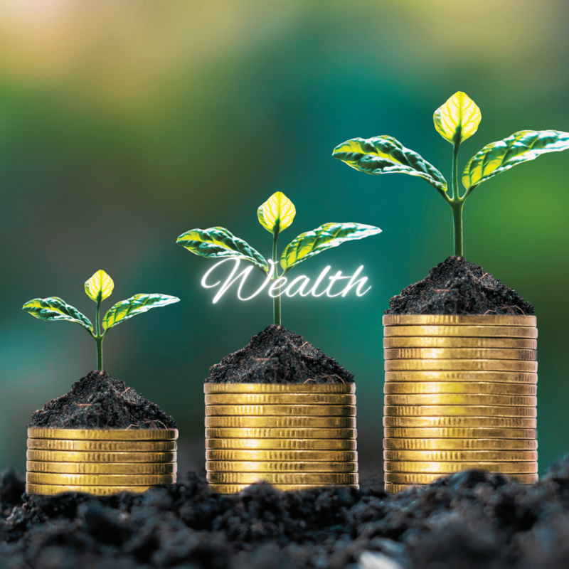 Copy of WEALTH QUOTE BLOG