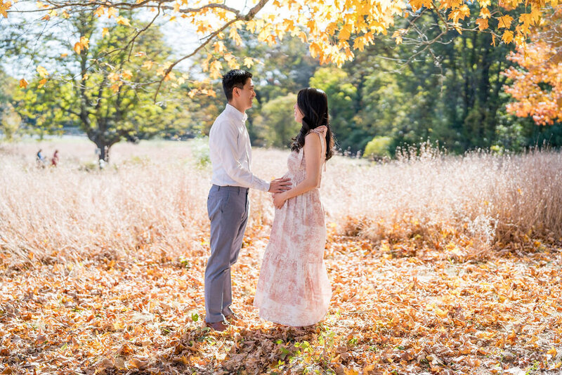 Walpole MA maternity photos_francis william bird park4
