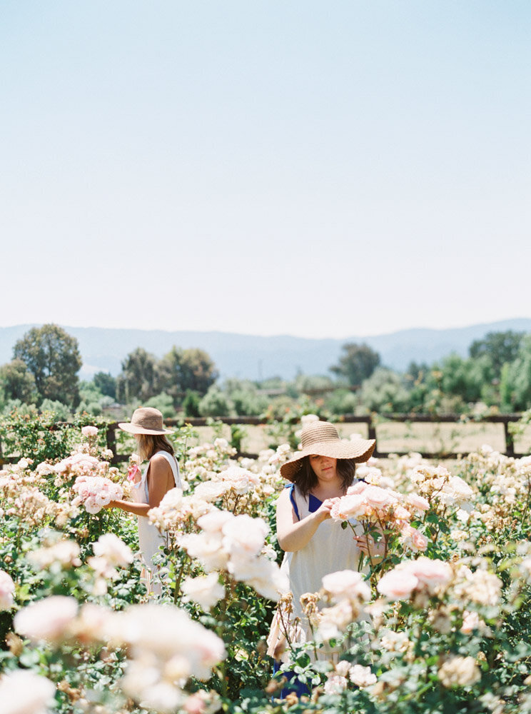 Santa Ynez California Destination Oh Flora Workshop by Fine Art Film Wedding Photographer Sheri McMahon-00024