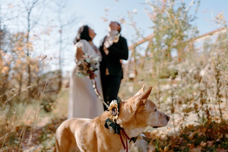 kriztelle-halili-photography-wedding-elopement-photographer-chicago-destination_0181