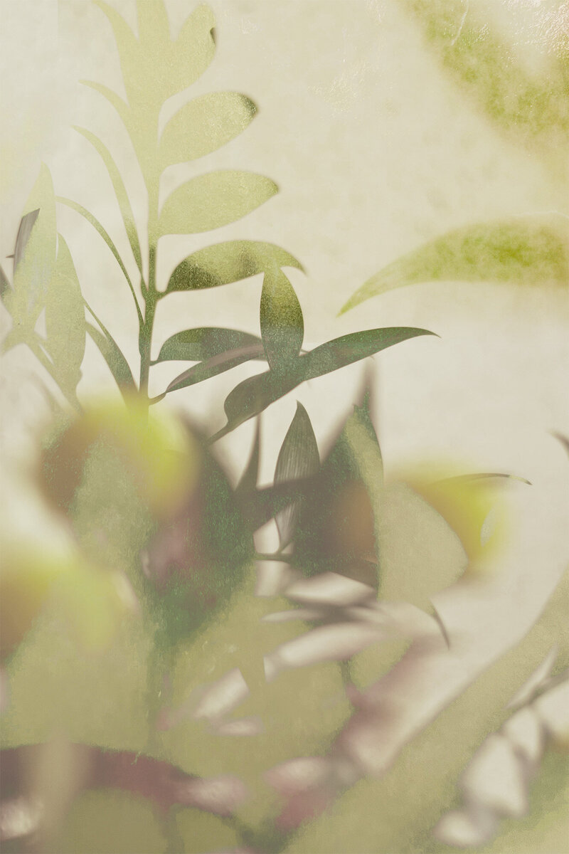 Botanical Imagery for Perennial Content