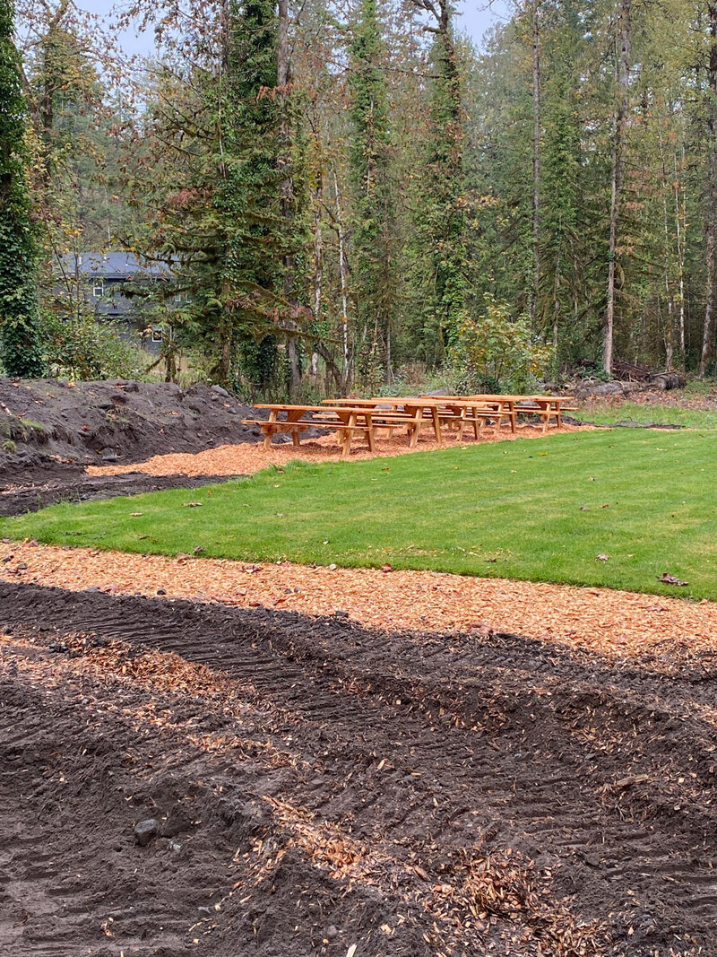 Picnic tables set up on a lawn surrounded by greenery
