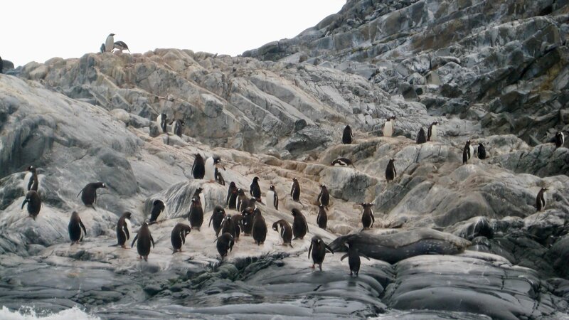 Relentlessly Me Self-Fulfillment Coaching Antarctica 6