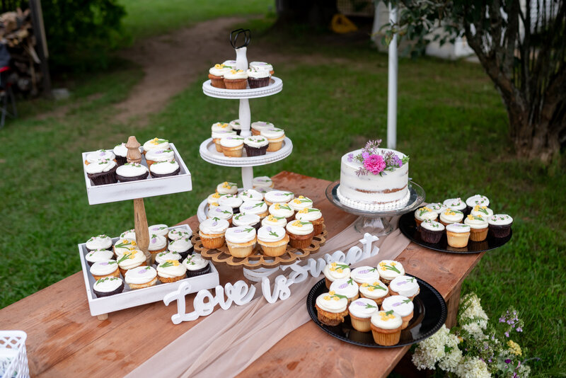 Alena-Zach_WeddingPreviews_76