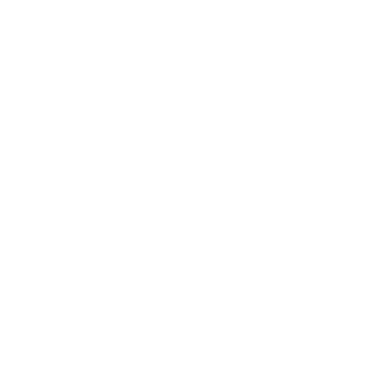 Luxury Wedding and Destination Photographer