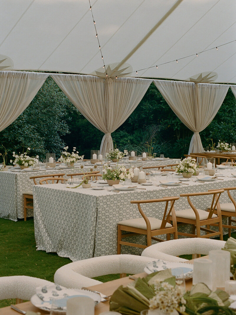 abigail lewis photography