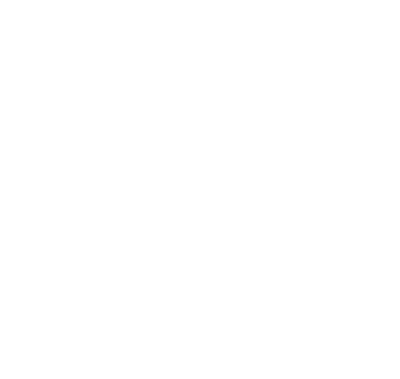 secondary logo.white png
