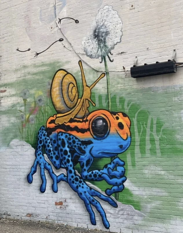 Brightly colored frog mural