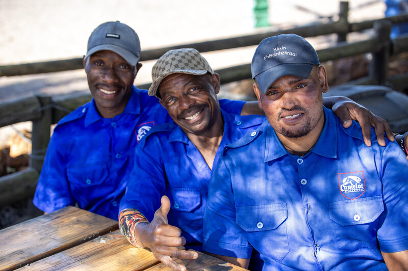 Camelot Horse Riding School grooms team in Cape Town caring for horses at the stables.