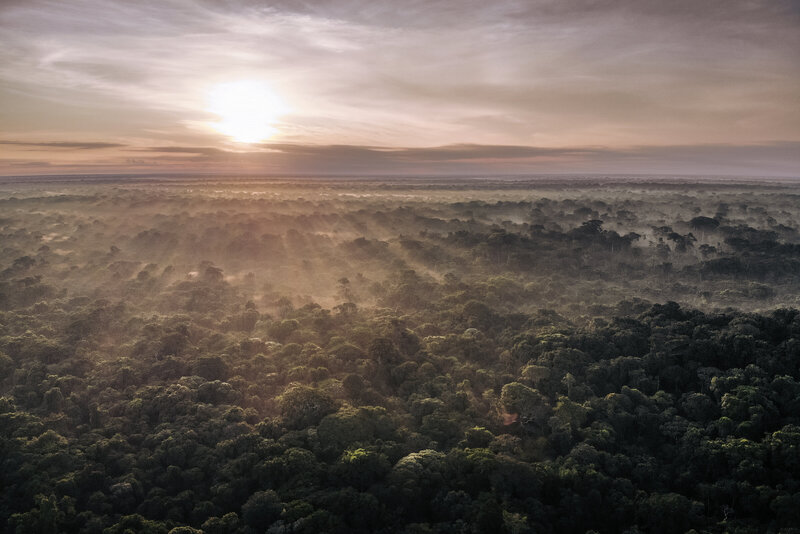 DRC-Tropical Peatlands - © ALHUGUET