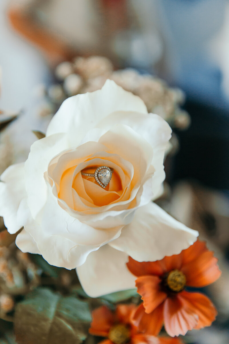 engagement ring inside a cream colored rose